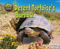 Cover Desert Tortoise's Burrow