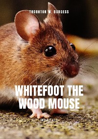 Cover Whitefoot the wood mouse