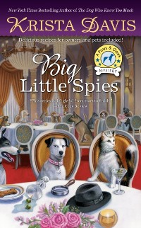 Cover Big Little Spies