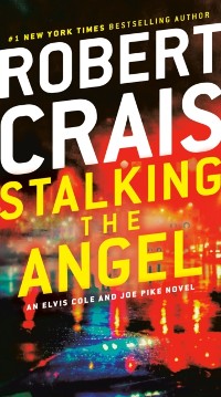 Cover Stalking the Angel