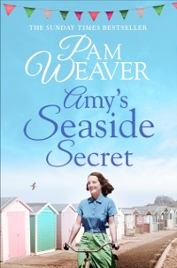 Cover Amy's Seaside Secret