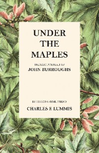 Cover Under the Maples - The Last Portrait of John Burroughs