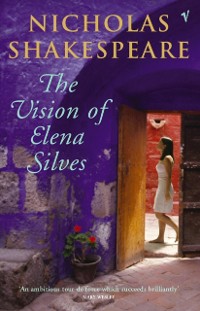 Cover The Vision Of Elena Silves