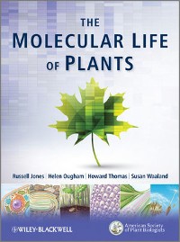 Cover The Molecular Life of Plants