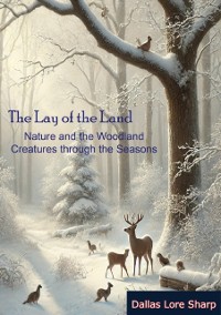 Cover Lay of the Land: Nature and the Woodland Creatures through the Seasons