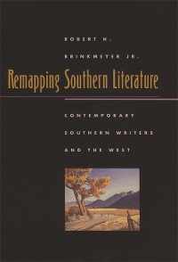 Cover Remapping Southern Literature