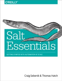 Cover Salt Essentials