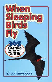Cover When Sleeping Birds Fly