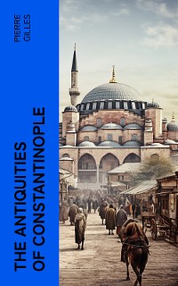 Cover The Antiquities of Constantinople