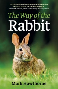 Cover Way of the Rabbit