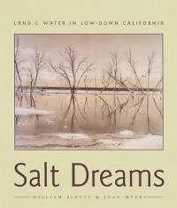 Cover Salt Dreams