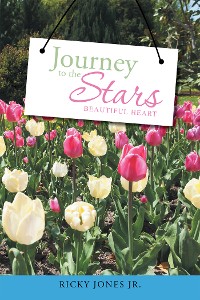Cover Journey to the Stars