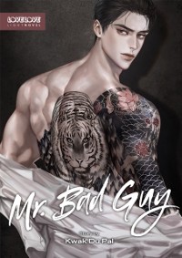 Cover Mr. Bad Guy