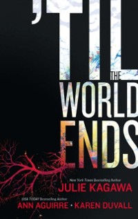 Cover TILL WORLD ENDS EB