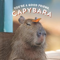 Cover You're a Good Friend, Capybara