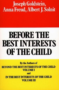 Cover Before the Best Interests of the Child