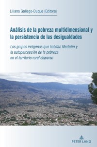 Cover Analisis de la pobreza multidimensional y la persistencia de las desigualdades