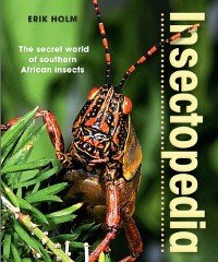 Cover Insectopedia - The secret world of southern African insects