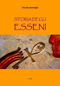 Cover Storia degli Esseni