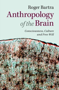 Cover Anthropology of the Brain