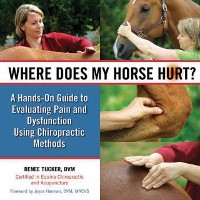Cover Where Does My Horse Hurt?