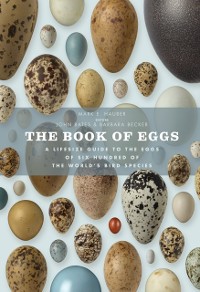 Cover Book of Eggs