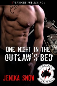 Cover One Night in the Outlaw's Bed