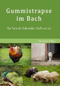 Cover Gummistrapse im Bach
