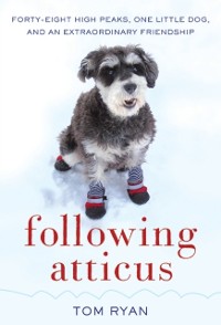 Cover Following Atticus