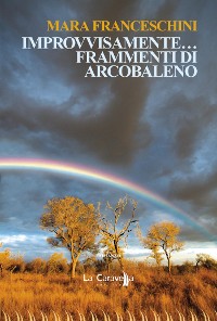 Cover Improvvisamente frammenti di arcobaleno