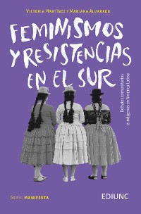Cover Feminismos y resistencias en el Sur