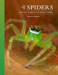 Cover Lives of Spiders