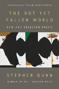 Cover The Not Yet Fallen World: New and Selected Poems