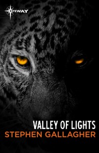 Cover Valley of Lights