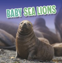 Cover Baby Sea Lions