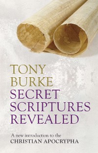 Cover Secret Scriptures Revealed