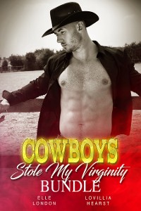 Cover Cowboys Stole My Virginity Bundle