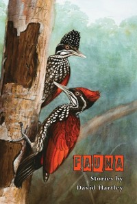 Cover Fauna