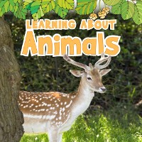 Cover Learning About Animals
