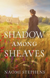 Cover Shadow among Sheaves