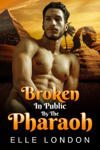 Cover Broken In Public By The Pharaoh
