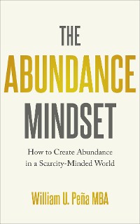 Cover The Abundance Mindset