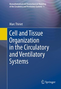 Cover Cell and Tissue Organization in the Circulatory and Ventilatory Systems
