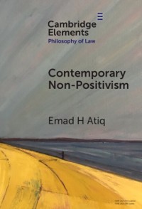 Cover Contemporary Non-Positivism