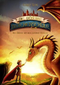 Cover Die geheime Drachenschule - Der Drache mit den silbernen Hörnern