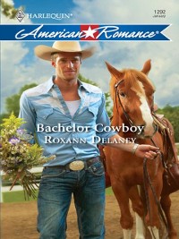 Cover Bachelor Cowboy