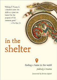 Cover In the Shelter