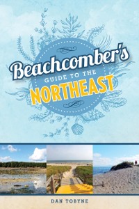 Cover Beachcomber's Guide to the Northeast