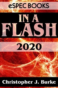 Cover In a Flash 2020