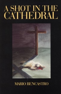 Cover Shot in the Cathedral